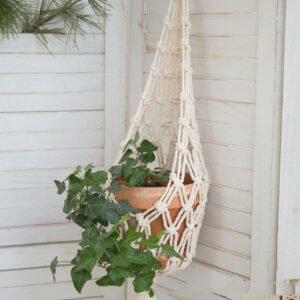 Boho macrame plant hanger with potted plant